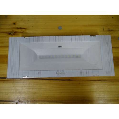 OVA38378 Exiway Easyled LED IP65 Activa Non Permanente 2h 250lm 24Weq