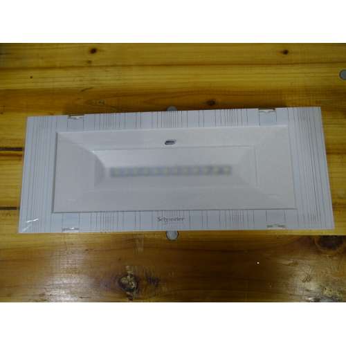 OVA38380 Exiway Easyled LED IP65 Activa Permanente 2h 250lm 24Weq