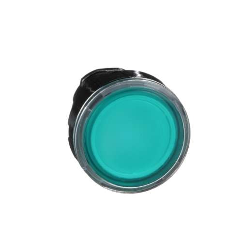 Testa per Pulsante illuminato ZB4BW333 Verde Metallo a filo 22mm ritorno a molla