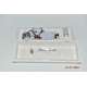 Lampada d'emergenza Schneider OVA38373 120lm 1H Led 6X0,3W SE/NM IP65