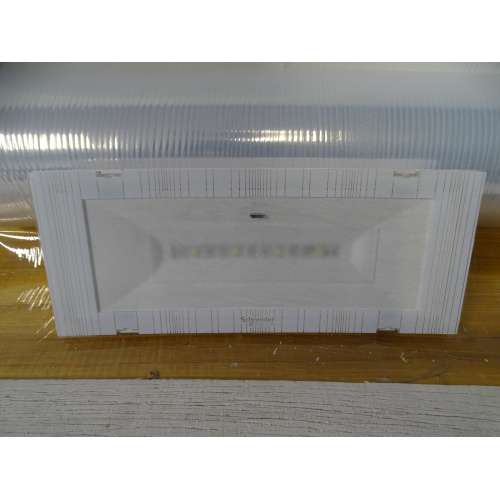 Lampada d'Emergenza SCHNEIDER OVA38363  EasyLed 170 lm