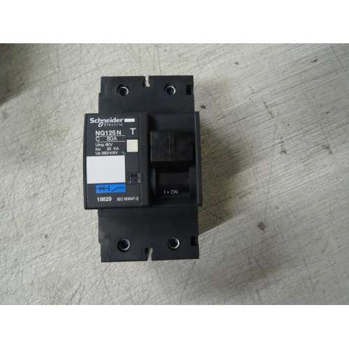 Schneider 18629 Interruttore Magnetotermico NG125N 2P C 80A 25kA