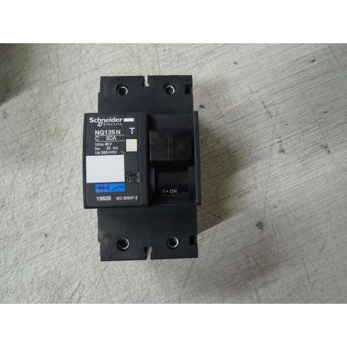 Schneider 18629 Interruttore Magnetotermico NG125N 2P C 80A 25kA