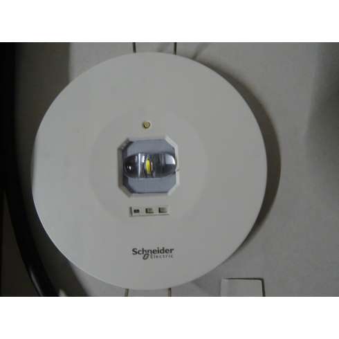 OVA48904