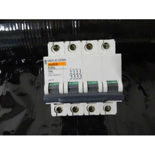 Merlin Gerin 25448 Interruttore Automatico C60L 4P 6A Curva C