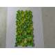 Schneider NSYTRV42PE 10 Pezzi Morsetto Vite, Terra, 2pt, 4mm²