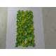 Schneider NSYTRV42PE 10 Pezzi Morsetto Vite, Terra, 2pt, 4mm²