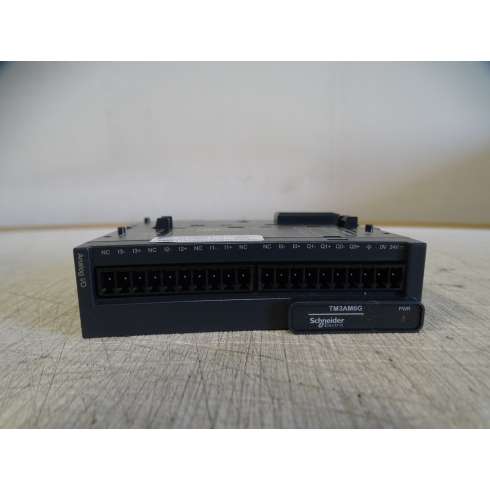 Schneider Modicon TM3AM6G Modulo 4 Input e 2 Output Analogiche, Molla