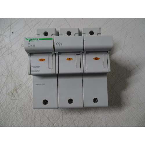 Schneider  MGN15717 Base portafusibile  SBI 22X58 3Poli con spia 100 Amp 690 V