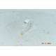 A9XMC1D3 Schneider Electric PowerTag C Wireless Input Output 230 V MIO