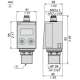 Telemecanique XMLRM01G0T75 Sensore di Pressione 1 bar, G 1/4, 24 VDC, 0...10 V