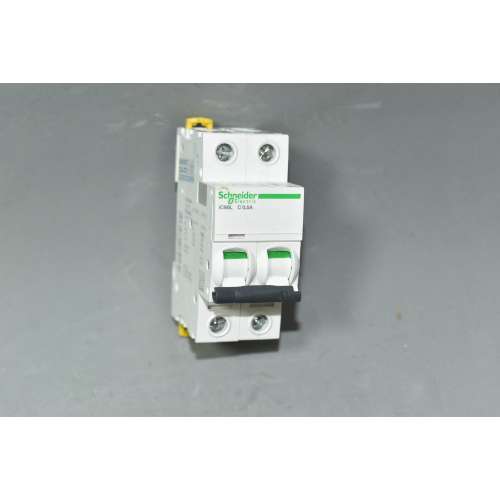 A9F94270 Schneider Interruttore Magnetotermico iC60L 2P C 0.50 Amp 15000A