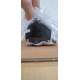 BMH1001T16A2A Servomotore Lexium 32, 3,4 Nm, 6000 giri/min, Senza freno Schneider