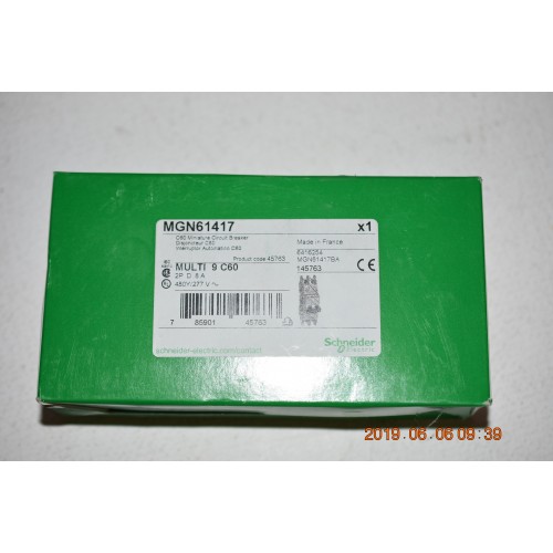  MGN61417 Interruttore magnetotermico C60N UL 489 2P D 8A 480Y/277Vca rtt 